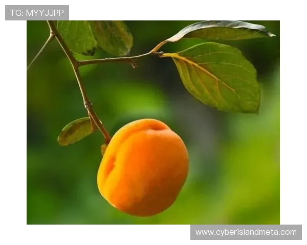 花样年华:100分钟的静默,道尽了20年的无奈,一部让人沉默的经典